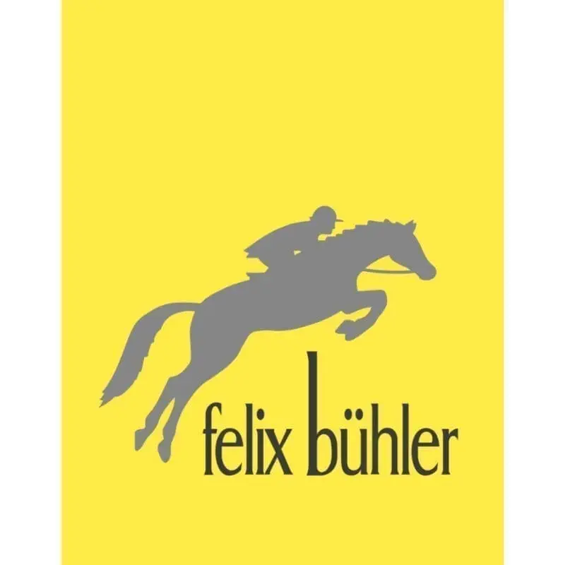 Logo Felix Bühler