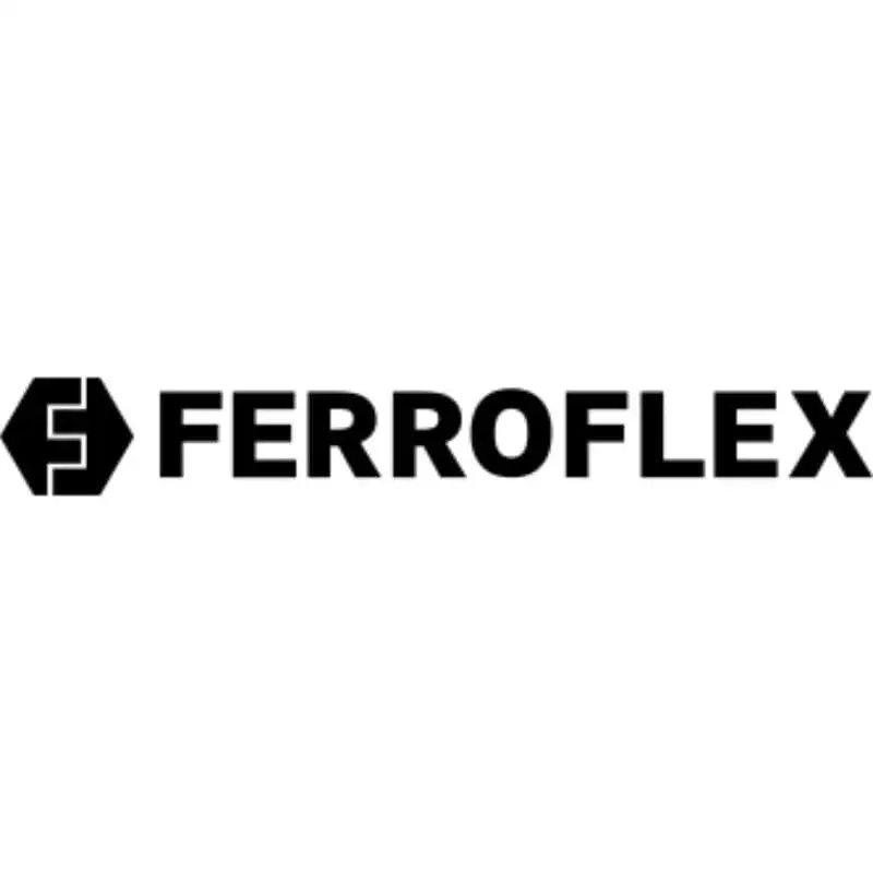 Logo Ferroflex
