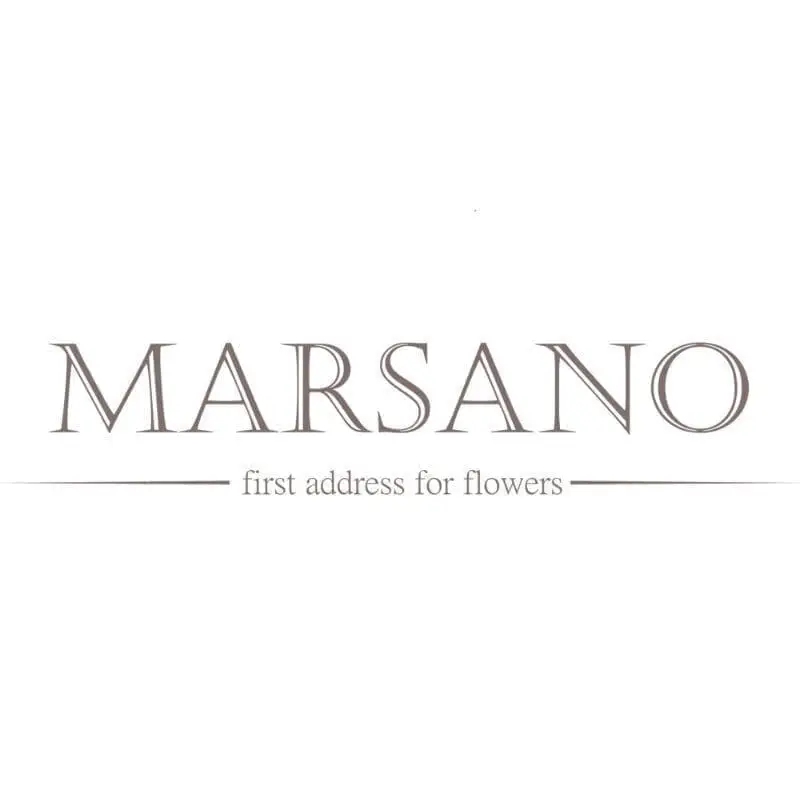 Logo Marsano