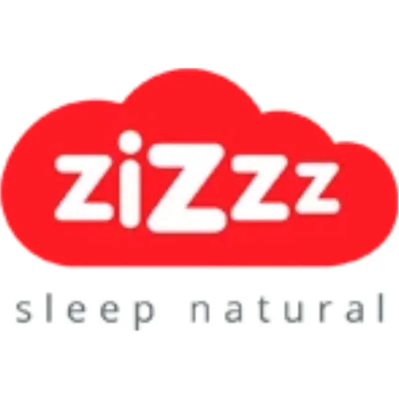 Logo Zizzz